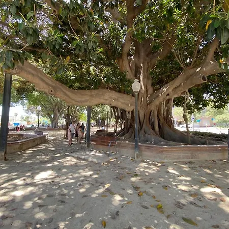 דירה Tropical Loft *