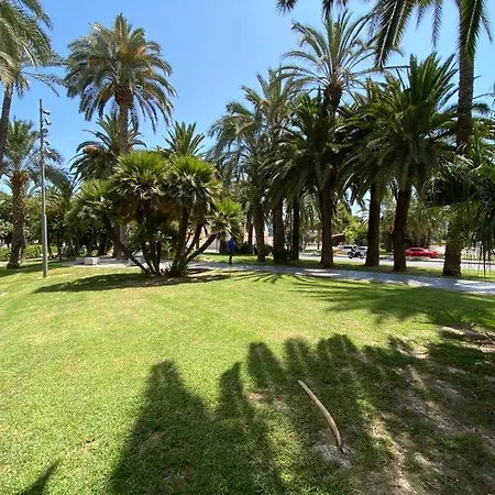 Tropical Loft Alicante